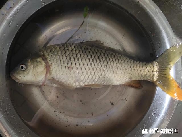 有没有1000块左右的手竿可推荐