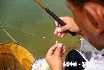 夜光漂调平水钓一目怎么调