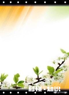 真的没有教不会的孩子吗