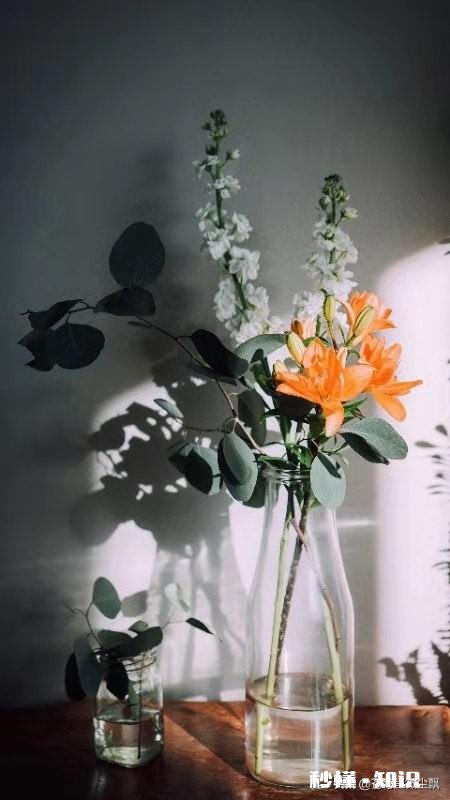 迷失过的人生你是怎么走出来的