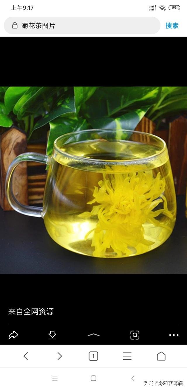 古代人说茶能明目，是指绿茶还是红茶啊