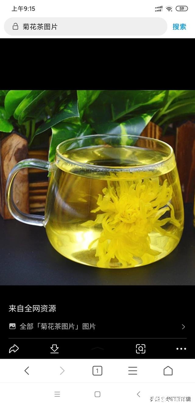 古代人说茶能明目，是指绿茶还是红茶啊