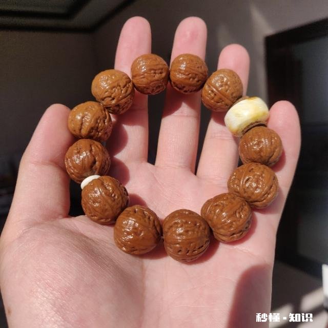 新手求解，刚入手的小金刚适合练手吗