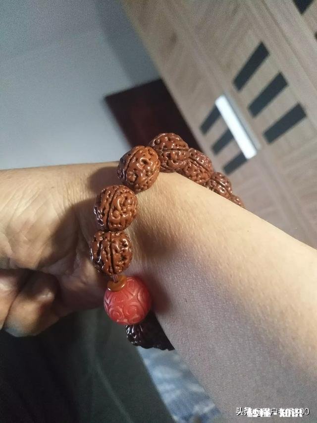 新手求解，刚入手的小金刚适合练手吗