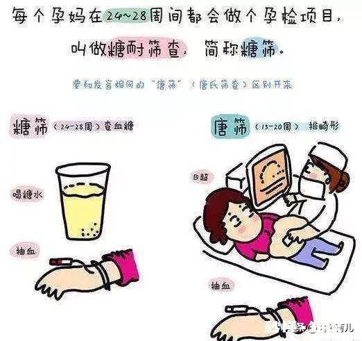 查糖耐前一定要戒糖，淀粉，两周吗