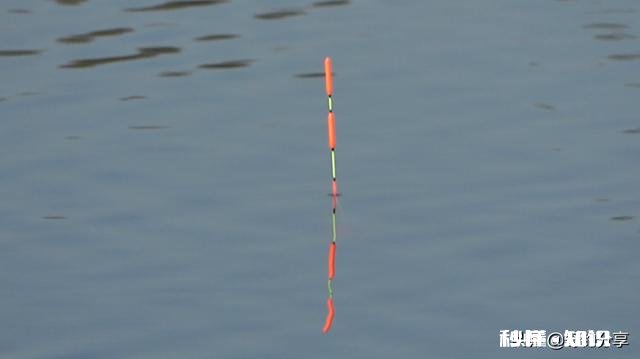 我想请教各位钓鱼大师，浮漂十几块钱和几十块钱上百的浮漂有什么区别