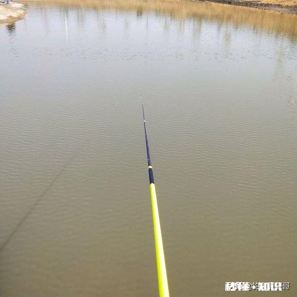 我想请教各位钓鱼大师，浮漂十几块钱和几十块钱上百的浮漂有什么区别