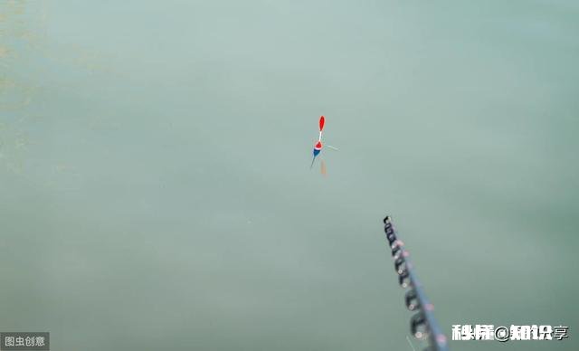 我想请教各位钓鱼大师，浮漂十几块钱和几十块钱上百的浮漂有什么区别