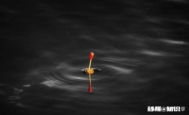 我想请教各位钓鱼大师，浮漂十几块钱和几十块钱上百的浮漂有什么区别