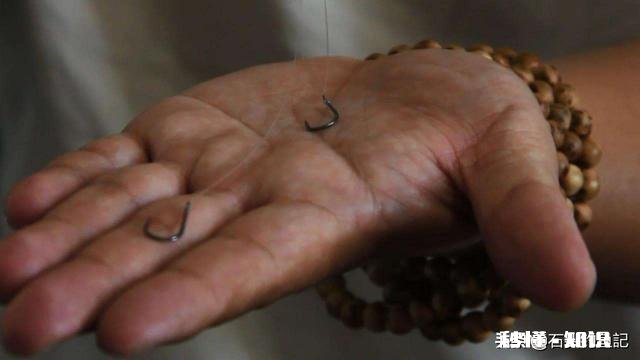 如何判断调钓是否正常