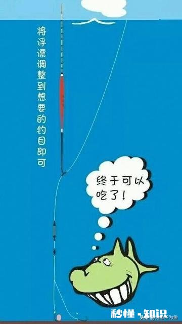 如何判断调钓是否正常