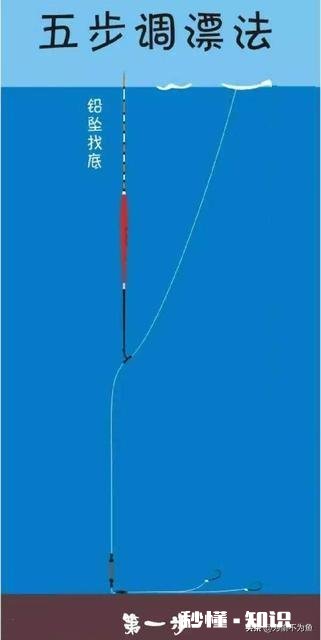 如何判断调钓是否正常