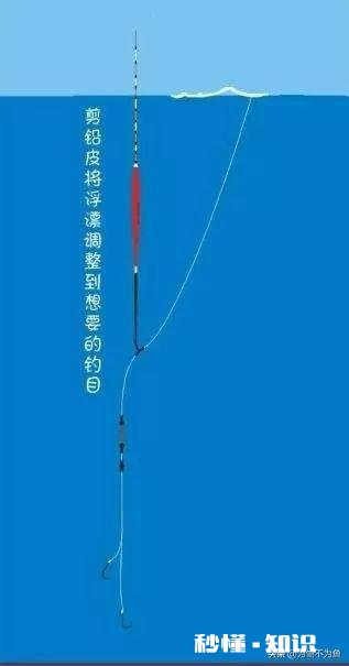 如何判断调钓是否正常