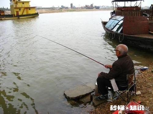 如何判断调钓是否正常