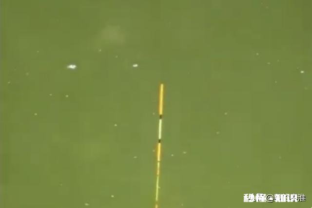 如何判断调钓是否正常