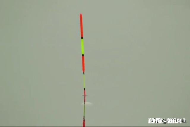 如何判断调钓是否正常