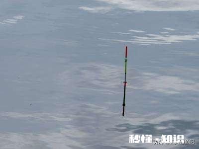 如何判断调钓是否正常