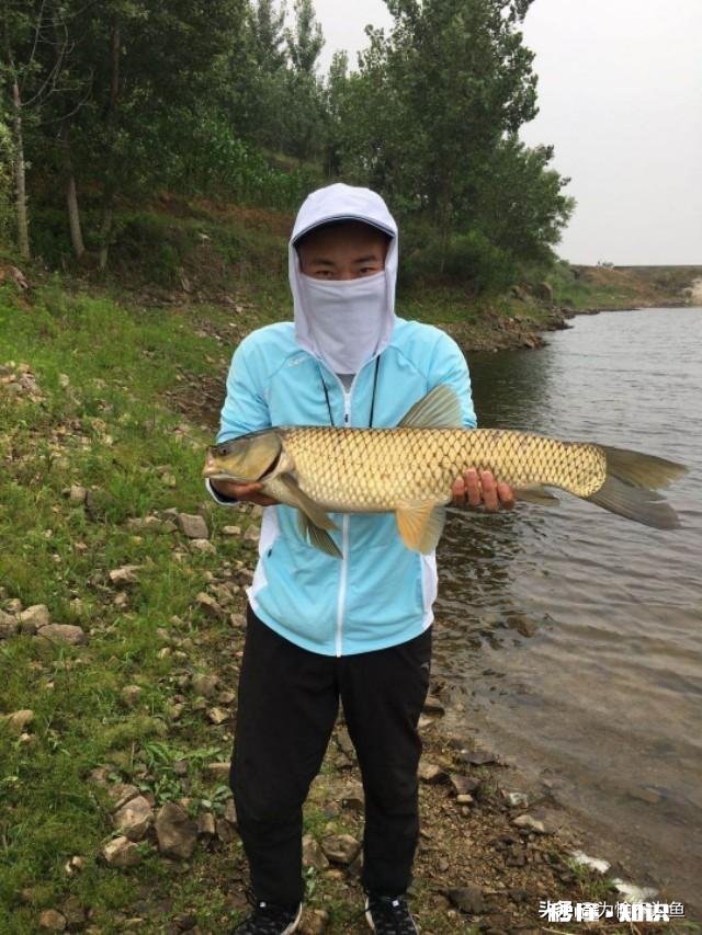 如何判断调钓是否正常