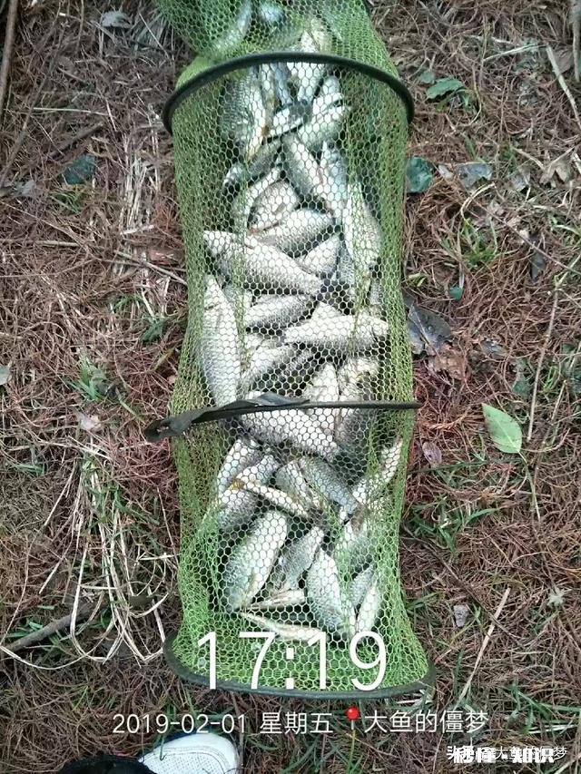 秋天用七星漂钓鲫鱼用什么线号好