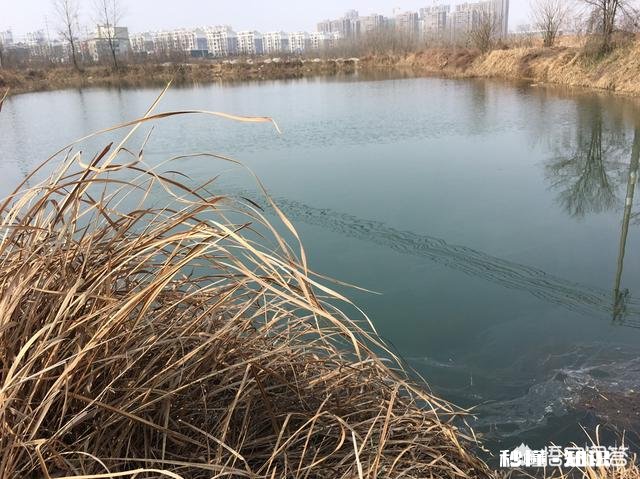 春季最佳的垂钓时间、技巧大家知道吗