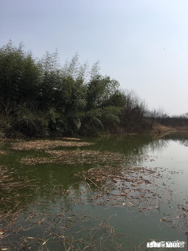 春季最佳的垂钓时间、技巧大家知道吗