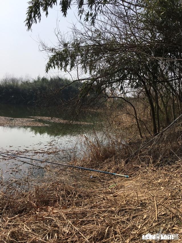春季最佳的垂钓时间、技巧大家知道吗