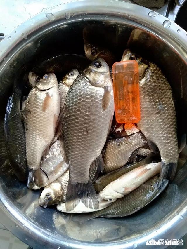 春季最佳的垂钓时间、技巧大家知道吗