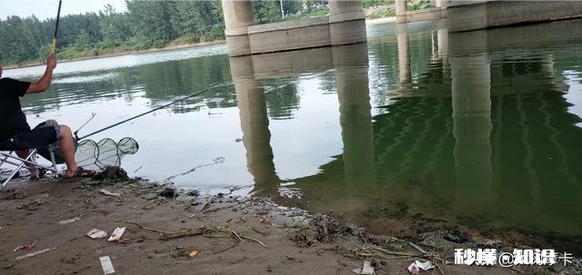 鸡粪塘怎么钓草鱼