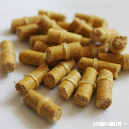 鸡粪塘怎么钓草鱼