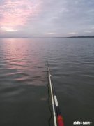 鸡粪塘怎么钓草鱼