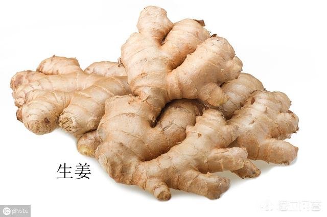 ”冬吃萝卜夏吃姜“,但冬天人们会吃一种咸菜是”洋姜“做的,洋姜和姜有什么区别