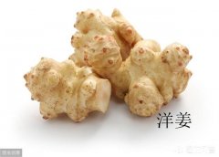 ”冬吃萝卜夏吃姜“，但冬天人们会吃一种咸菜是”洋姜“做的，洋姜和姜有什么区别