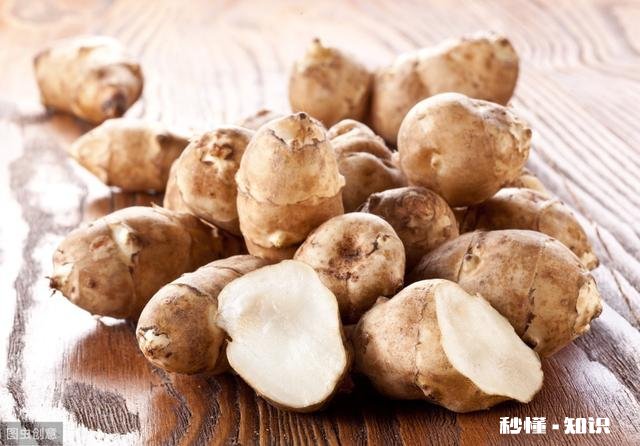 ”冬吃萝卜夏吃姜“,但冬天人们会吃一种咸菜是”洋姜“做的,洋姜和姜有什么区别