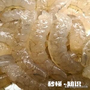 冻虾还可以钓鱼吗