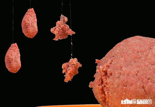 冻虾还可以钓鱼吗