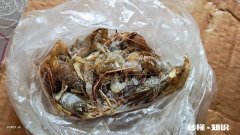 冻虾还可以钓鱼吗