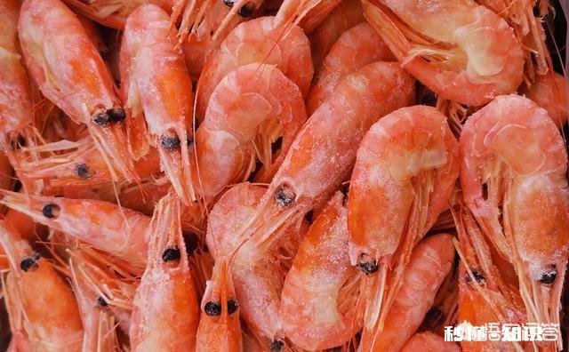 冻虾还可以钓鱼吗