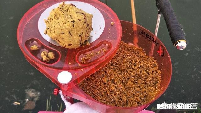 冻虾还可以钓鱼吗