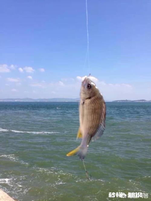 你钓鱼的时候会带上家人一起出游吗