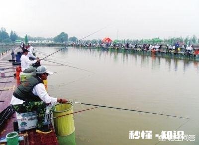 你钓鱼的时候会带上家人一起出游吗