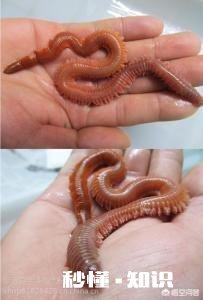 你钓鱼的时候会带上家人一起出游吗