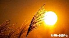 有没有那么一句话，让你觉得最霸气