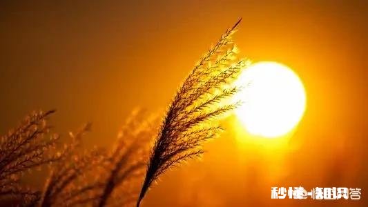 有没有那么一句话，让你觉得最霸气