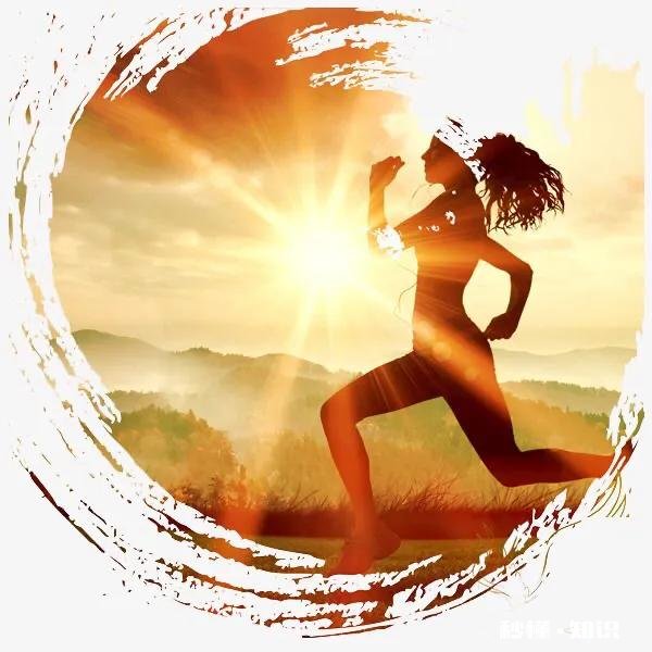 为什么不学无术的人会嘲笑努力学习的人