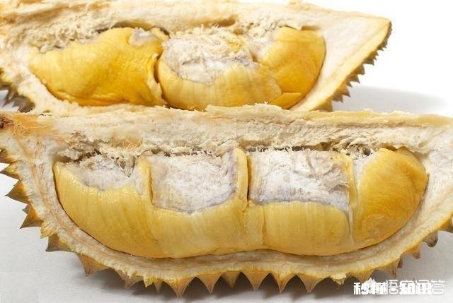 你有没有吃过榴莲感觉怎么样