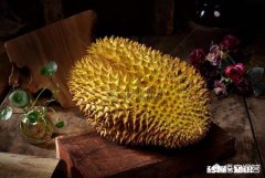 你有没有吃过榴莲感觉怎么样