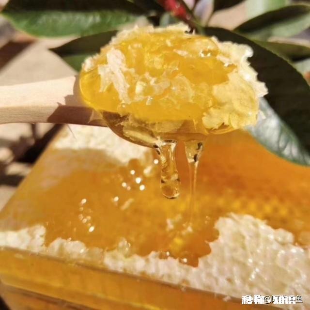 黑坑池塘钓鱼有哪些聚鱼的药值得推荐