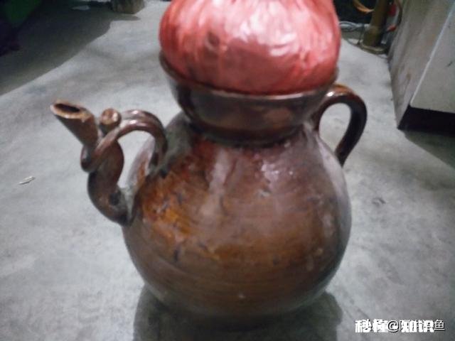 黑坑池塘钓鱼有哪些聚鱼的药值得推荐