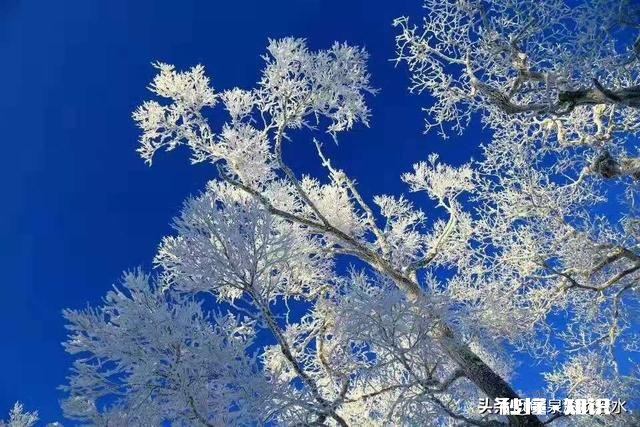 做直言不讳的人好吗