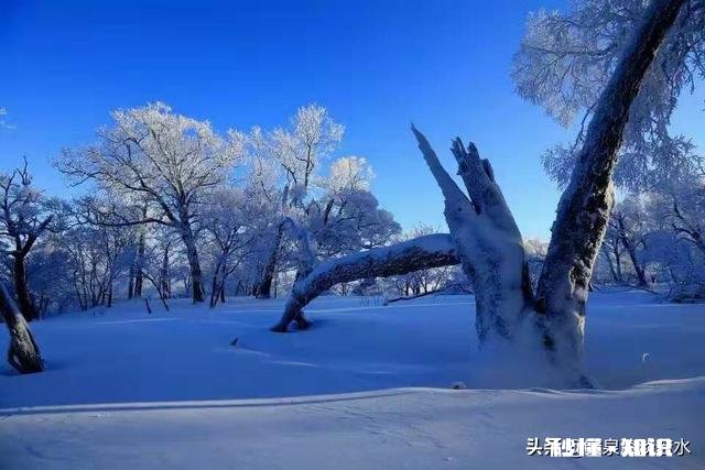 做直言不讳的人好吗